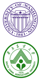 Copy of Meet the team - FengLu-1