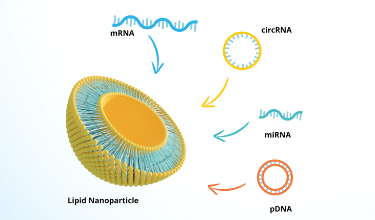 LNP-encapsulate-mRNA-miRNA-circRNA-pDNA-1