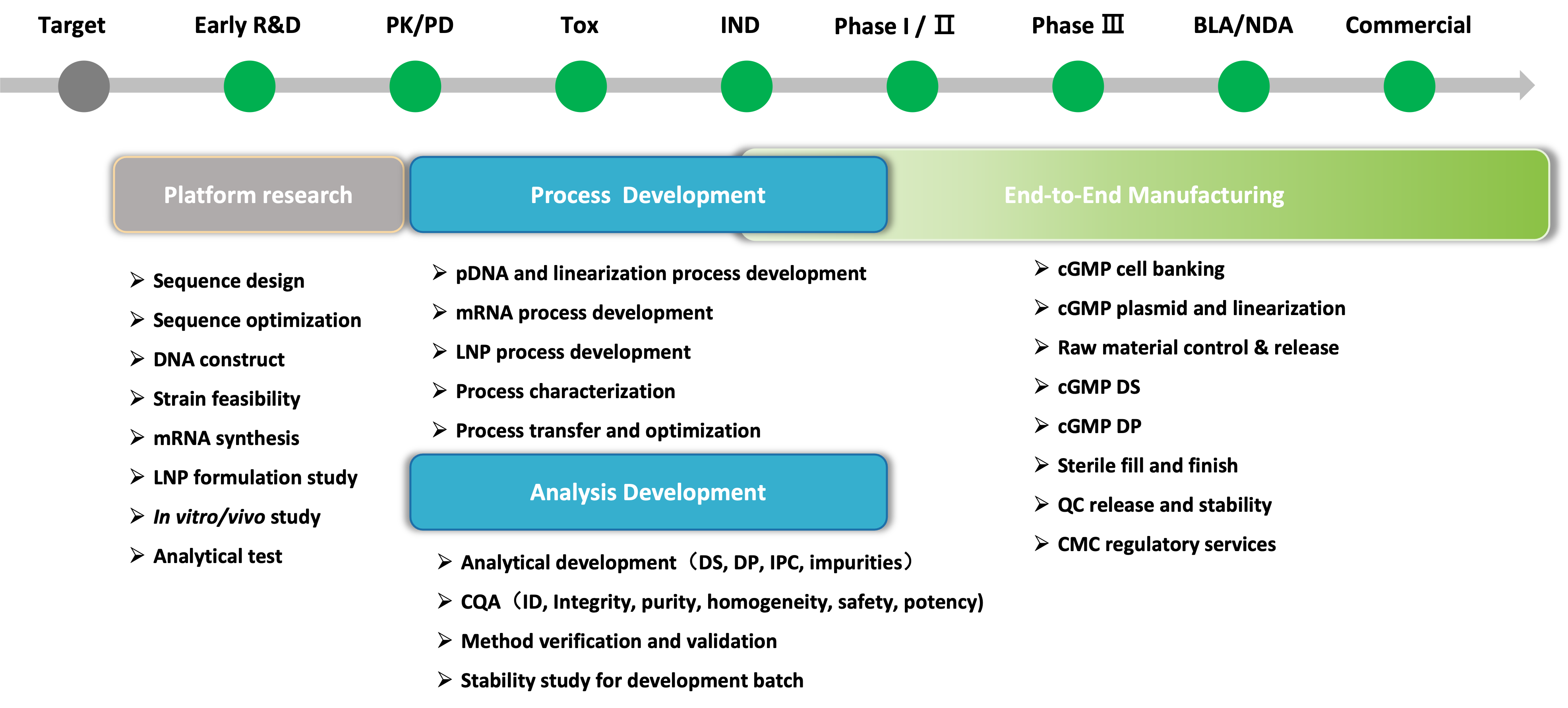 mRNA service