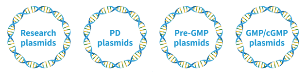 plasmid types