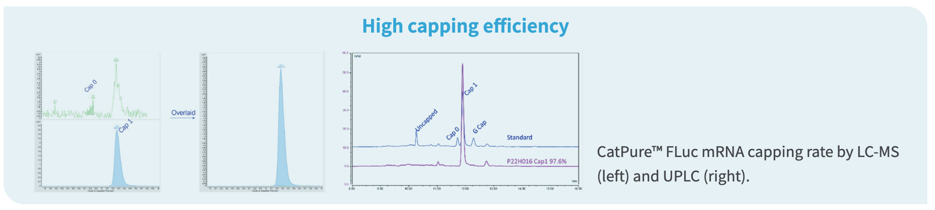 capping efficiency