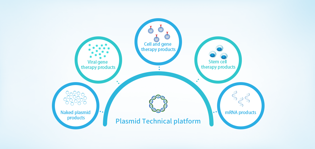 plasmid application